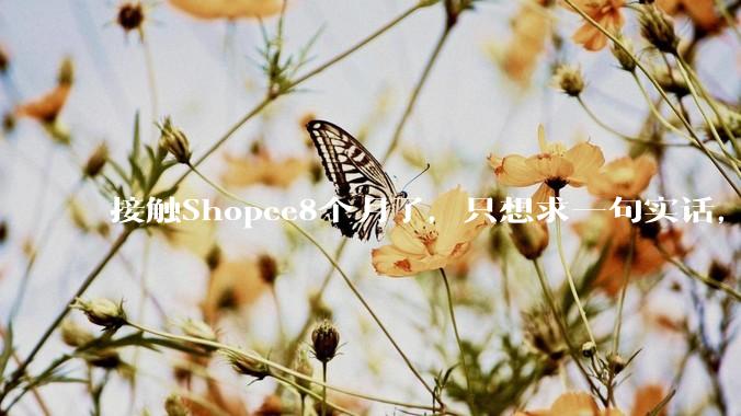 接触Shopee8个月了，只想求一句实话，你们到底赚钱了吗？
